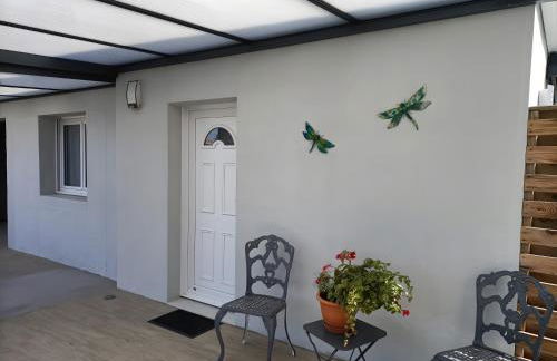 Les Libellules - Foto 11