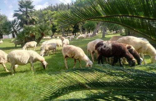 Agriturismo Torrevecchia - Foto 54