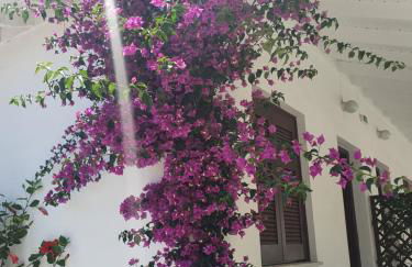 Daglas Seaside Studios - Foto 28