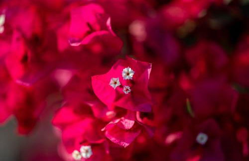 Coachella Play - 6BR Multi-Gen Fun Zone and Retreat with free heated pool - Foto 79