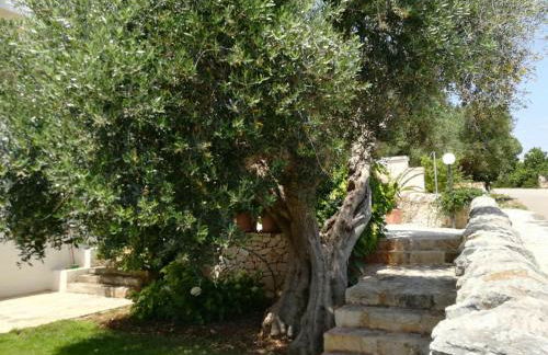 Residenza Aurora - Foto 102