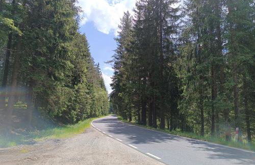 Strażnica Pod Lasem - Foto 79