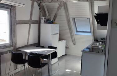 duplex aux portes de Strasbourg tram 100m - Foto 13