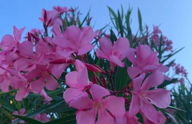 Villetta Fichera Monolocale - Foto 12