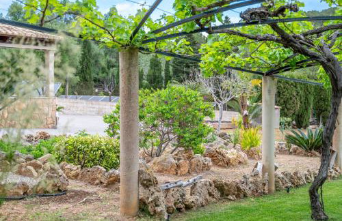 Son Bessó - Foto 12