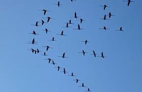 Casita Lopez Holiday House - Foto 13