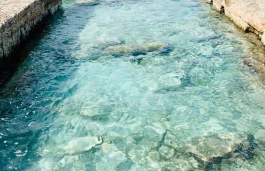 Catalina Beach House by Cassai - Foto 17