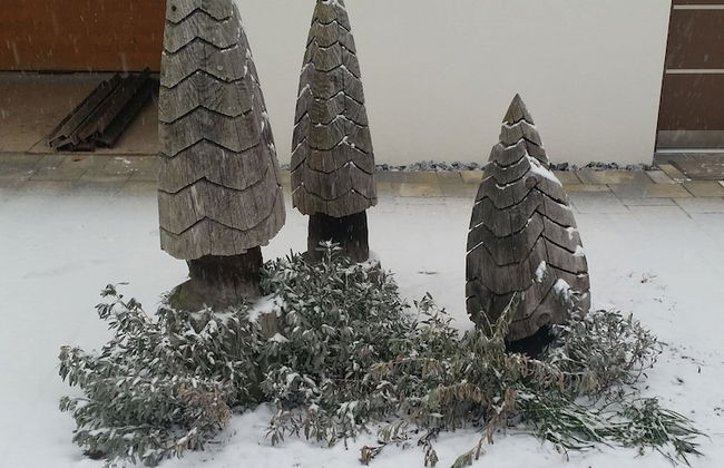 Masetto Egidio Agritur - Foto 57