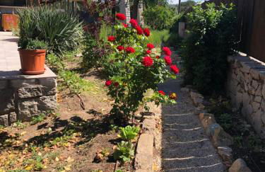 Finca LaGloria - Foto 35