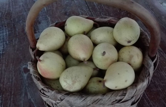 Agriturismo Mare e Monti - Foto 78