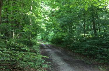 Ferienhaus Namatiri - Foto 23