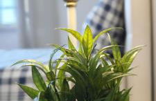 Ericeira -Oceonview Villa with Pool and Whirlpool - Photo 24