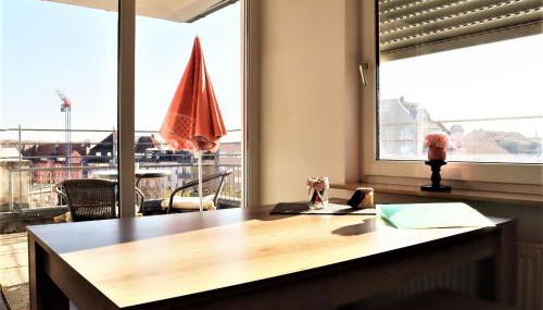 Exklusive Wohnung mit Dachterrasse in Schleußig - Foto 3