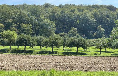 Fewoimdorf - Foto 12