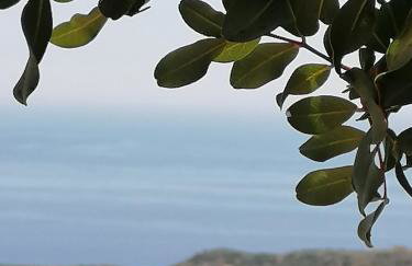 Villa Argyro Triopetra - Foto 43