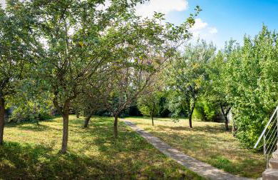 Résidence Artemis Paris Orly Aéroport - Foto 21