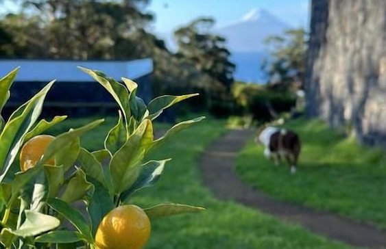 Make It Happen Farm - Foto 74