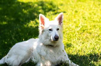 Residence Der Heinrichshof - Foto 23