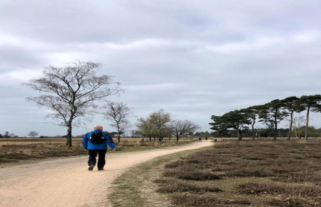 Bungalow in Bospark 't Wolfsven Near Nature - Photo 22