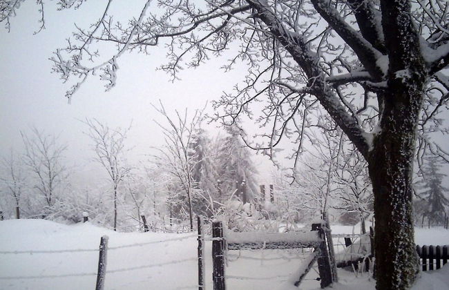 Quiet, Cozy Apartment in Menkhausen near Ski Area - Foto 26