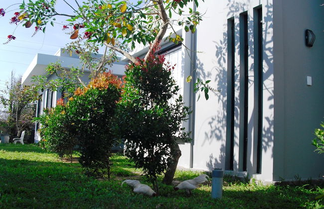 Van Nguyen Minihouse - Foto 46