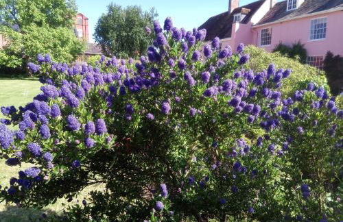 Old Ford House - Photo 51