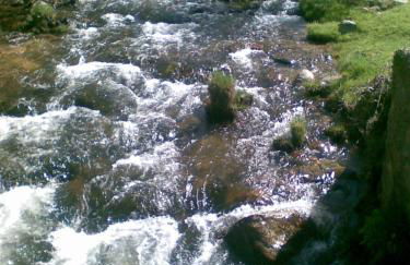 La Hijuela - Foto 14