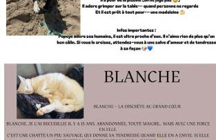 la vallée du paradis studio avec balnéothérapie en campagne - Foto 47