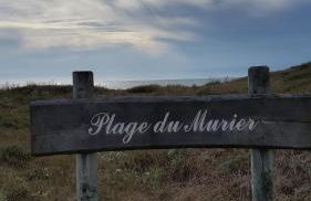 Charmante maison vendéenne proche de la plage - Photo 35