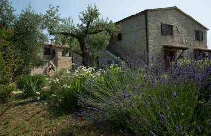 Sasseta Alta - Foto 45