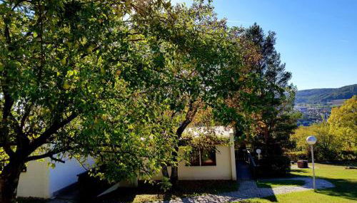 Berg-Bungalows Leinleitertal - Foto 2, Garden, Garden view