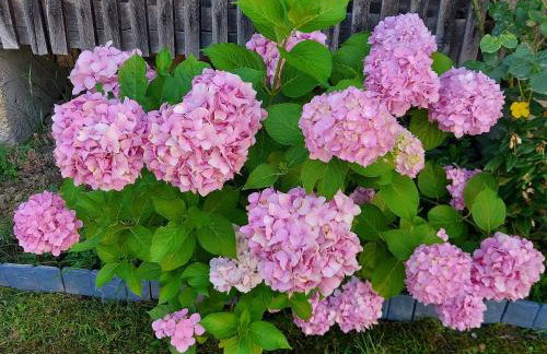 Kuća za odmor Mažuran - Foto 69