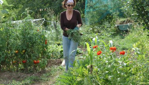 Ca Borgh - Foto 3, Garden