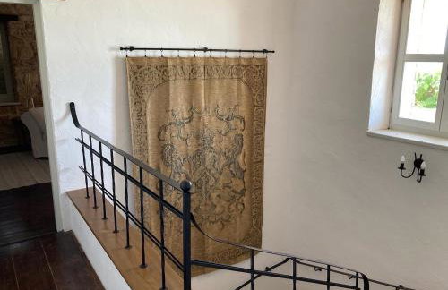 Villa Oliva Istria - Foto 28