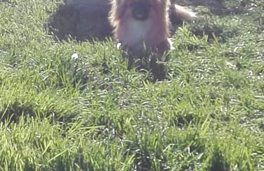 Agriturismo Le Rose - Foto 107