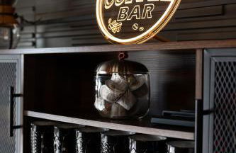 4000 SF, 20 Acre Gated Luxe Estate, Game Room, Pano View, Pool, Spa - Foto 21