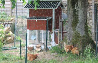 Un Balcon en Forêt - Foto 17