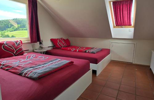 'Tor zum Schwarzwald' Ferienwohnungen mit Sauna - Foto 8