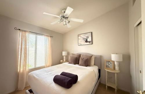 Cactus Bonito - Foto 9