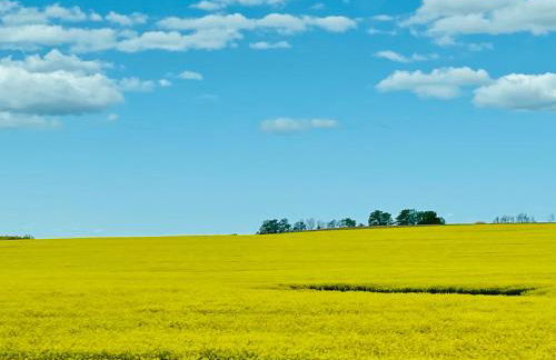 Ferienwohnungen Dargatz - Foto 21