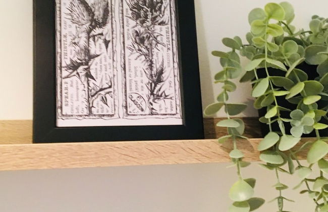 My-Canning Street Apartments - Foto 18