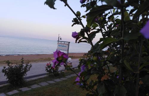 Akrothalassia - Foto 6