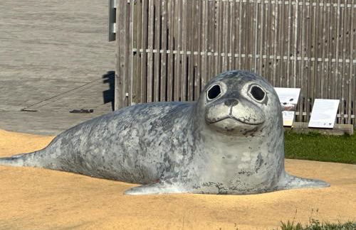 Lenis Deichblick - Foto 16