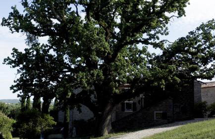 L'Abbraccio della Quercia - Apartments - Foto 18