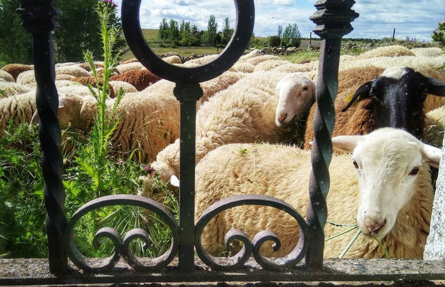 Casa rural Quevedo - Foto 33