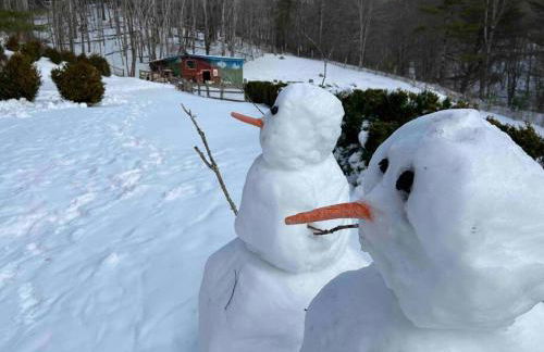 Barn Vibes + Petting Zoo + Hot Tub! - Foto 42