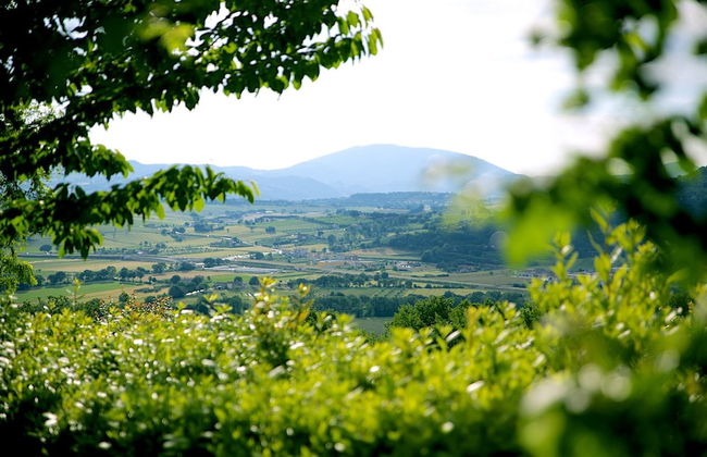 Agriturismo Le Colombe - Foto 70