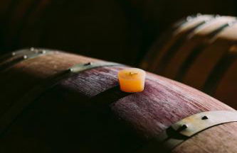 Alloggio Agrituristico Albafiorita - Foto 41