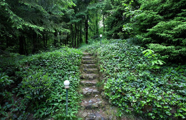 Forest Chalet in Lanklaar - Foto 44