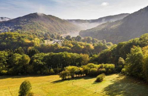 Bungalow auf dem Campingpark Waxweiler - Foto 64